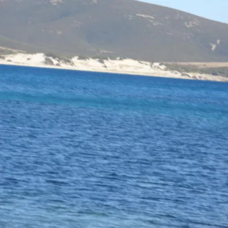 Villa Porto Pino Mimosa *