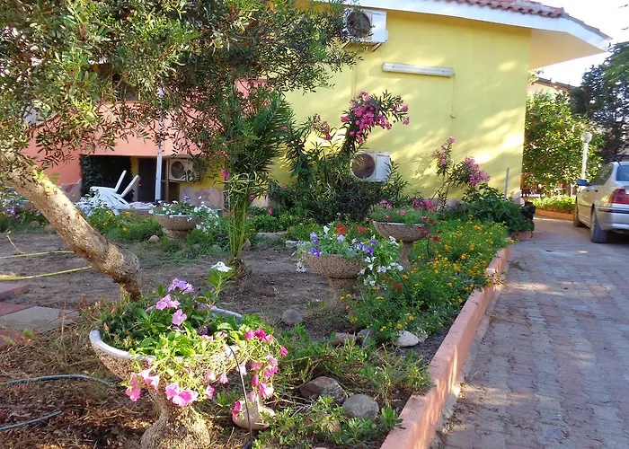 Porto Pino Mimosa * SantʼAnna Arresi