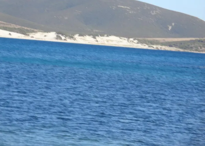 Vila Porto Pino Mimosa *